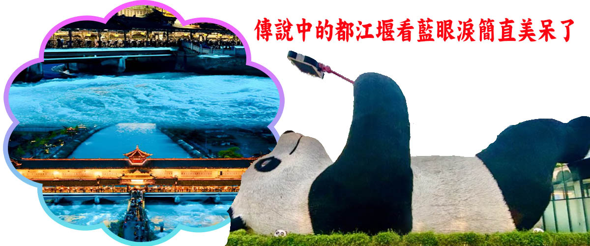 1781152884797185.jpg 02-13-2026蘭眼淚+楊貓-3.jpg
