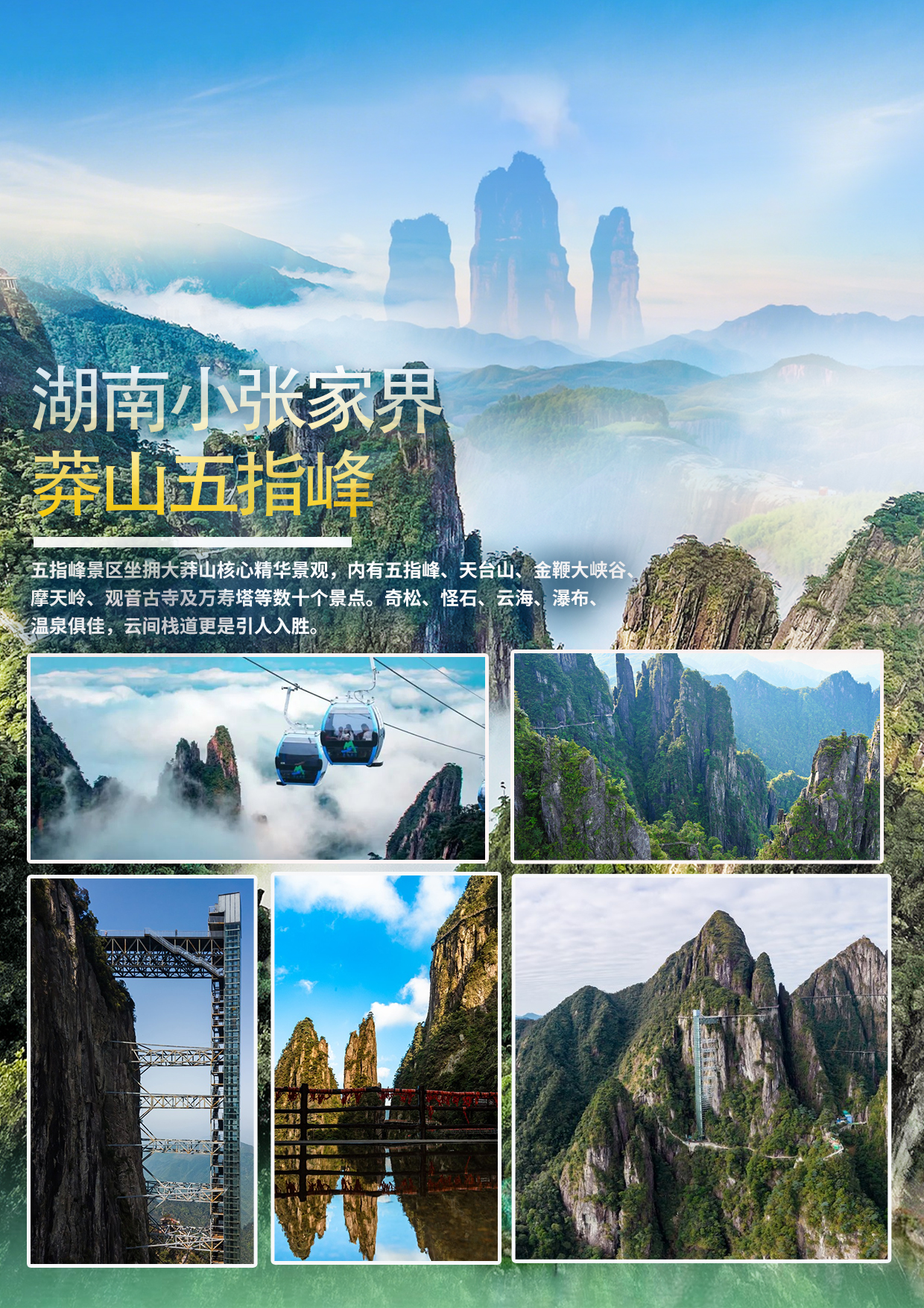 1782221092649129.jpg 上架2.jpg