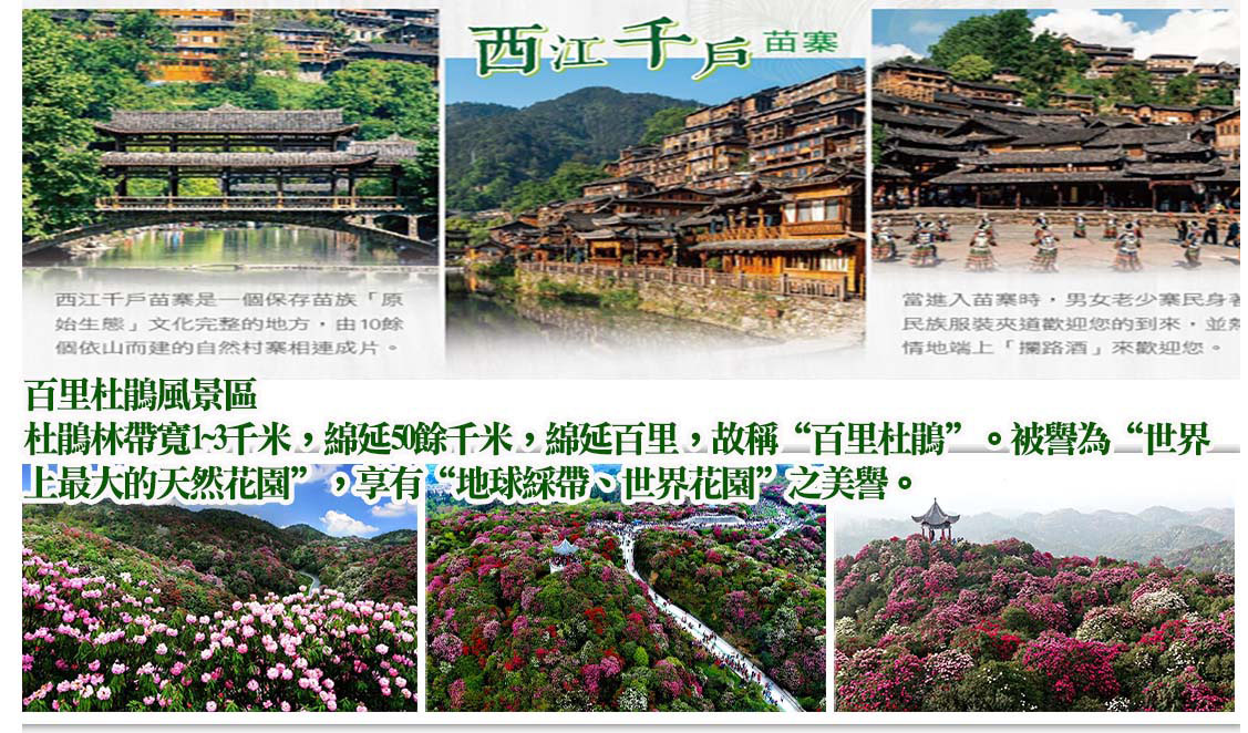 1792397959342540.jpg 西江+杜鵑.jpg